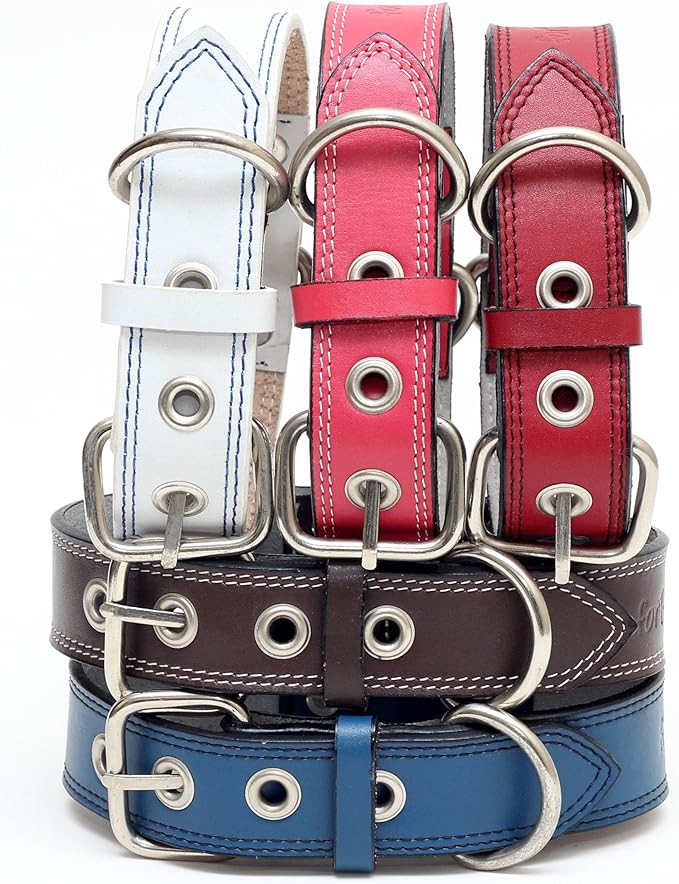 Premium Leather Collars with Stainless Steel Buckles (21"-24", White)