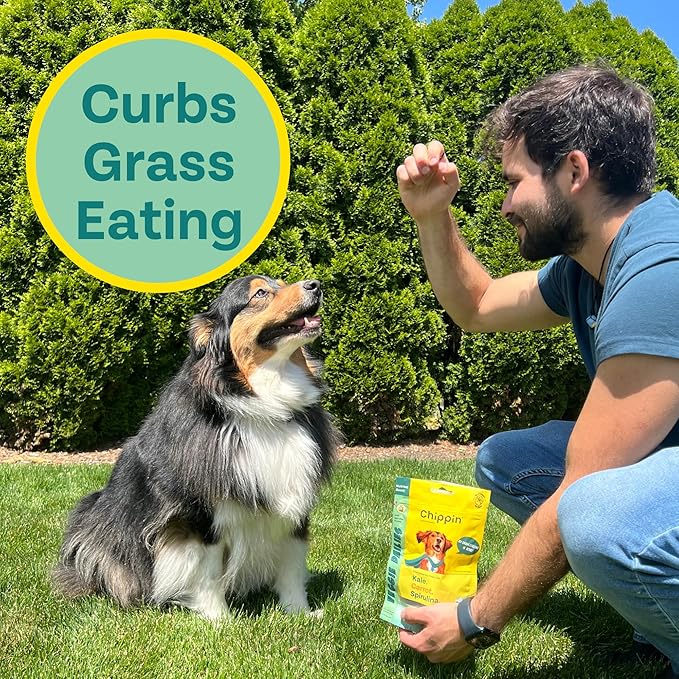 Chippin Plant-Based Spirulina Healthy Supplement & Dog Treat (5oz, 1-Pack) | Stop Grass Eating | Hypoallergenic, Chicken-Free Vegan Protein | 100% Made in USA