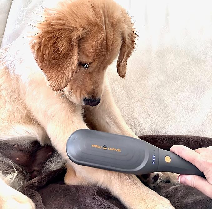 Buzz Therapeutic Brush Vibration Pet Massager for Dogs and Cats Designed to Help Soothe Tension, Increase Circulation and Relieve Tight Muscles
