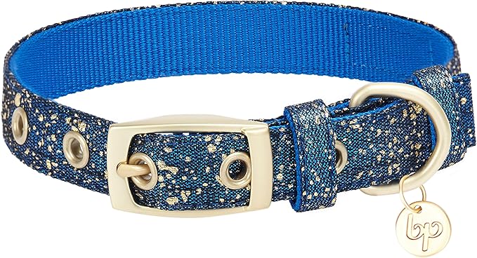 Blueberry Pet 4 Colors Glam Life Gold Stamping Lace Adjustable Dog Collar in Classy Navy, Neck 9-12.5", for Small Breed
