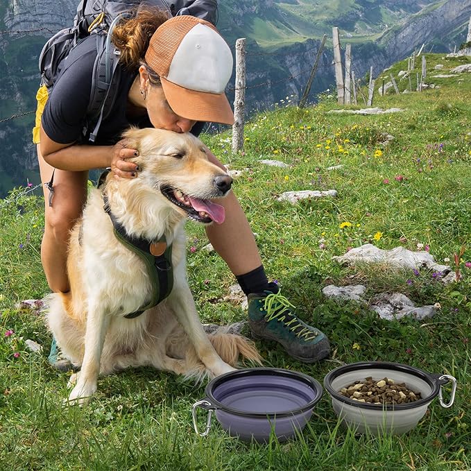 Dog Bowl Pet Collapsible Bowls, 2 Pack Collapsible Dog Water Bowls for Cats Dogs, Portable Pet Feeding Watering Dish for Walking Parking Traveling with 2 Carabiners (Large, Purple & Concrete Gray)