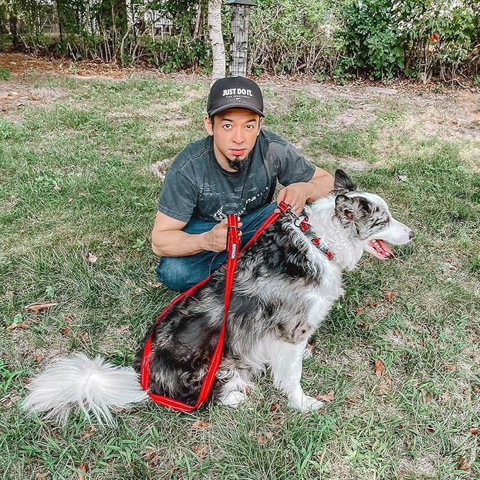 Voyager Reflective Dog Leash Collar Set with Neoprene Handle Supports Small, Medium, and Large Breed Puppies, Cute and Heavy Duty for Walking, Running, and Training - Red, M