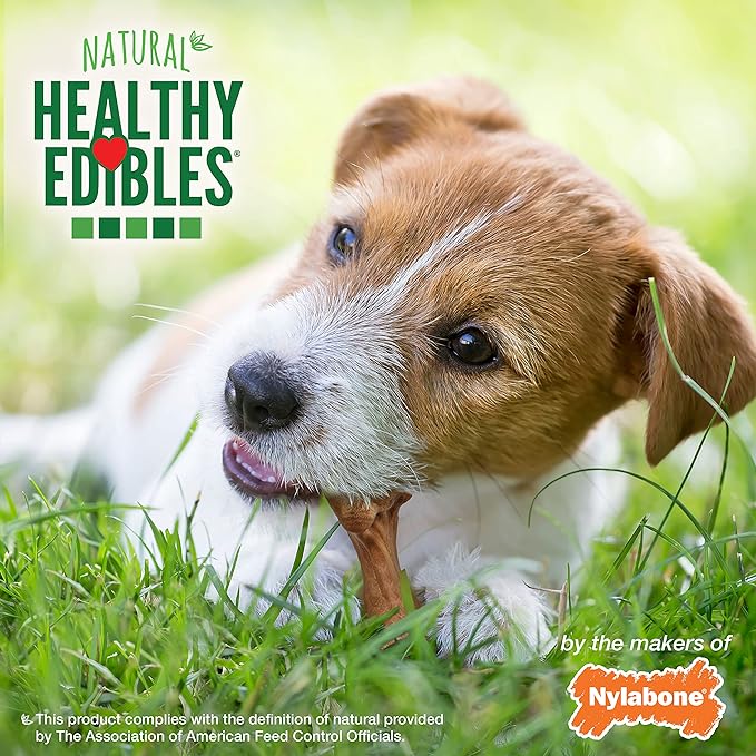 Nylabone Healthy Edibles Broth Bone Natural Dog Chews Long Lasting Treats Ham Flavor Small/Regular - Up to 25 Ibs. (16 Count)
