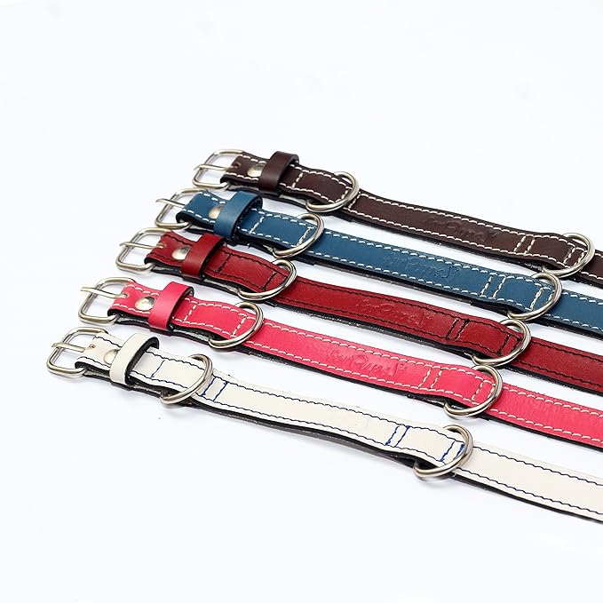 Premium Leather Collars with Stainless Steel Buckles (9"-12", White)