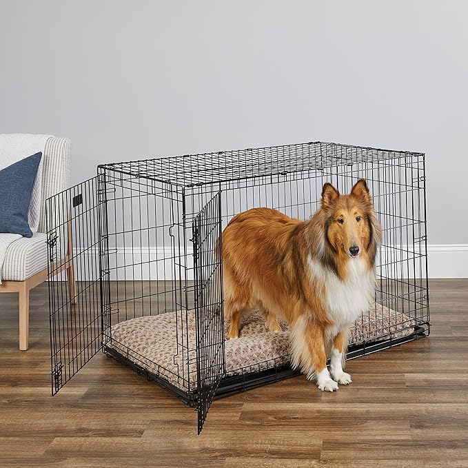 MidWest Homes for Pets Newly Enhanced Single & Double Door iCrate Dog Crate, Includes Leak-Proof Pan, Floor Protecting Feet, Divider Panel & New Patented Features