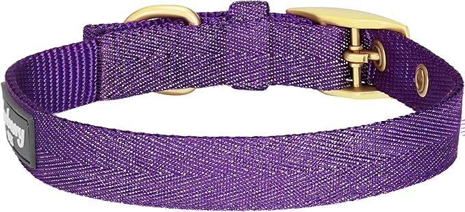 Blueberry Pet 6 Colors The Most Coveted Designer Mixed Metallic Thread Adjustable Dog Collar in Dazzling Tinsel Purple with Metal Buckle, Neck 13-16.5", for Medium Breed