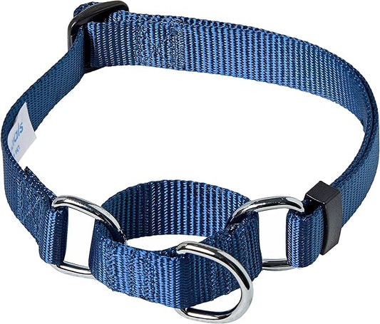 Blueberry Pet Essentials Martingale Safety Training Dog Collar, True Navy, Small, Heavy Duty Nylon Adjustable Collars for Dogs