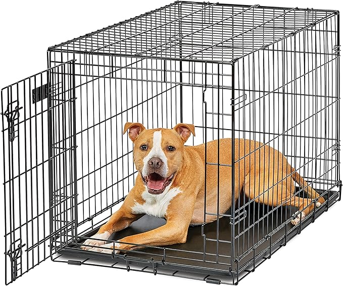 MidWest Homes for Pets Dog Crate | Midwest Life Stages 36' Folding Metal Dog Crate | Divider Panel, Floor Protecting Feet, Leak-Proof Dog Pan | 36L x 23W x 25H Inches, Intermediate Dog Breed, Black