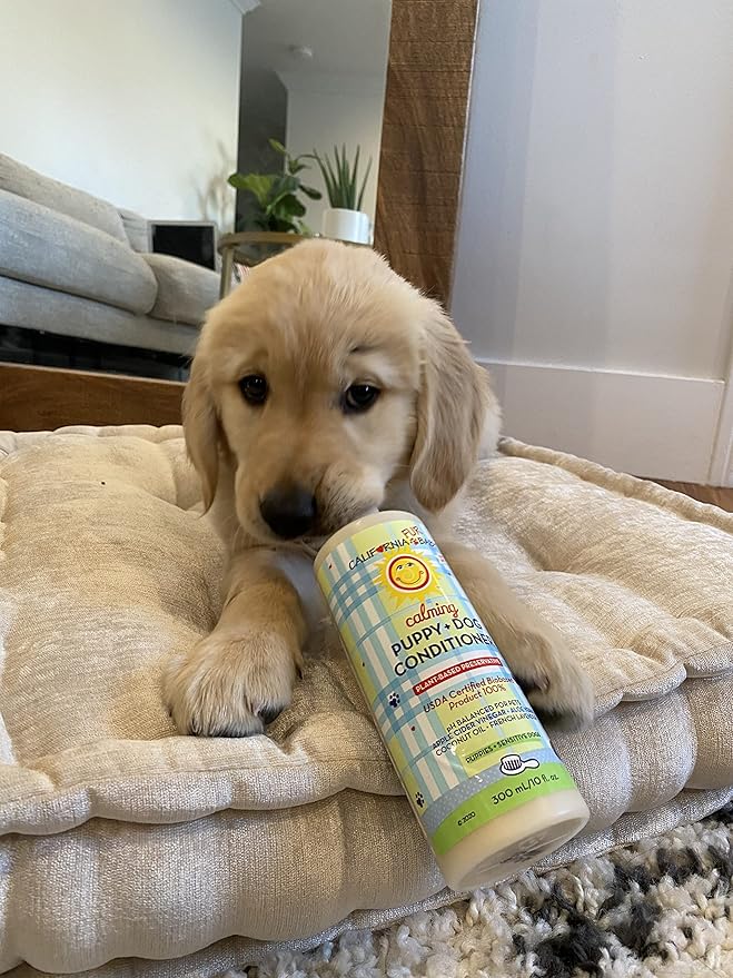 California Baby Hypoallergenic Dog Shampoo + Conditioner | 100% Plant-Based Ingredients | Lavender Scent | pH Balanced for Pets | Soothing Organic Calendula + Aloe + Apple Cider Vinegar