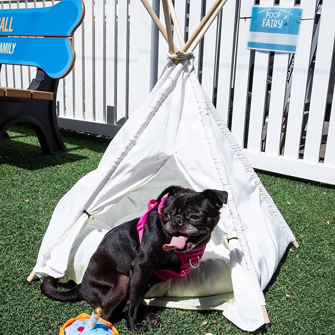 Cat Tent, Portable Dog Tent for Small Pets, Stylish Teepee Design, Cozy Hideaway Reduces Pet Stress, Easy Clean Canvas, Foldable Pet Bed - White, Portable