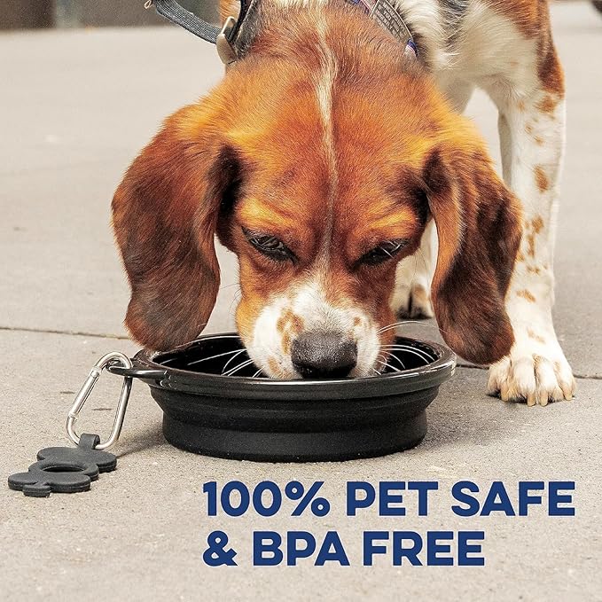 Bonza by Leash Boss Small Collapsible Dog Bowl Twin Pack, Sturdy Reinforced Rim, Includes Carabiner & Water Bottle Holder Keychain, Black