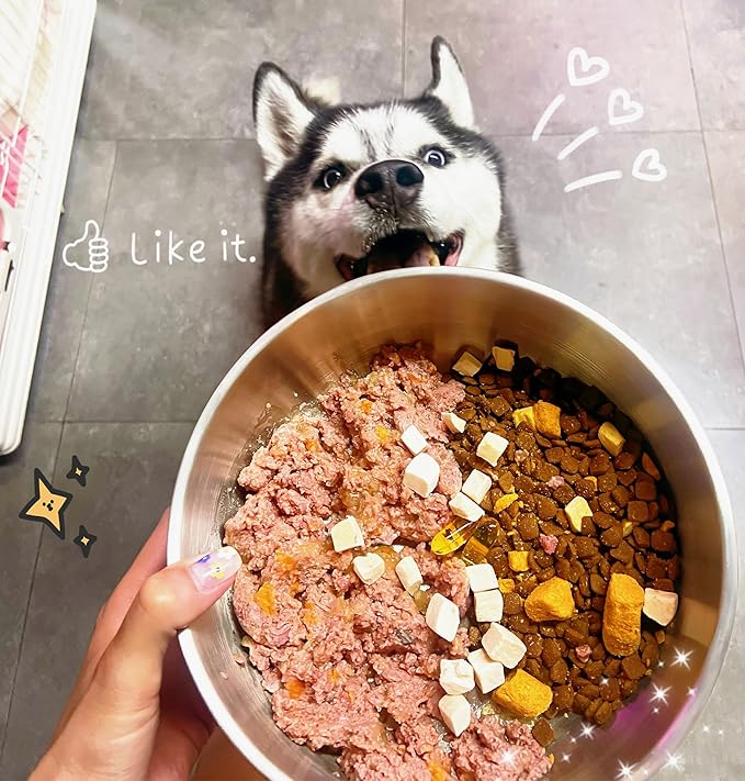 IKITCHEN Dog Bowl for Food and Water, 40 Oz Stainless Steel Pet Feeding Bowl, Durable Non-Skid Insulated Heavy Duty with Rubber Bottom for Medium Large Sized Dogs (40 Ounces/5 Cup, Grey)