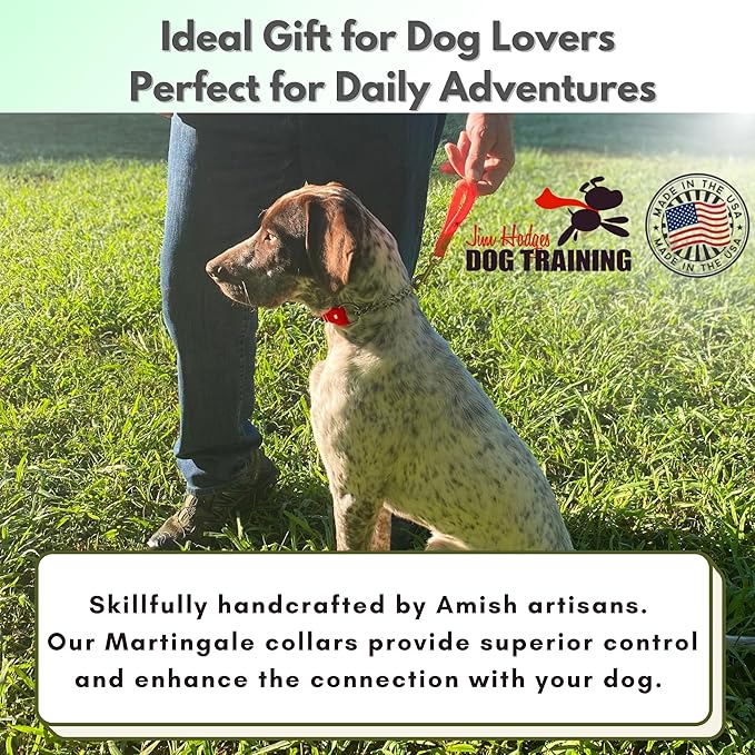 Martingale Collar for Dogs, Biothane, Stainless Steel Hardware, No Pull, Made in The USA, Professional Grade, Large, Red