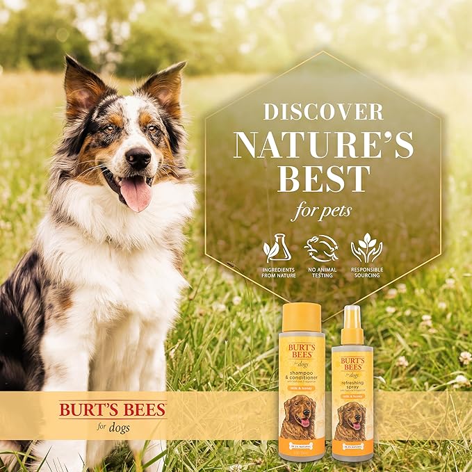 Burt's Bees for Pets Naturally Derived Deodorizing Spray for Dogs with Milk & Honey - Eliminates Dog Odors - pH Balanced for Dogs, Free from Sulfates, Colorants, and Parabens, 8 Fl Oz - 6 Pack