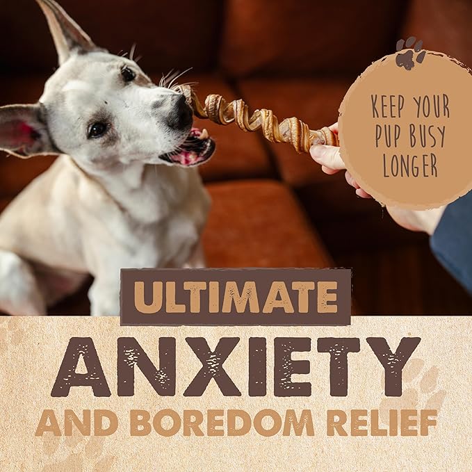 Mighty Paw Naturals Curly Bully Sticks for Dogs - Grass Fed Beef Dog Chews. Dog Bully Sticks for Large Dogs, Medium, Small Breeds. Lower Odor Bully Sticks for Small Dogs. Single Ingredient 12”, 5 Pack