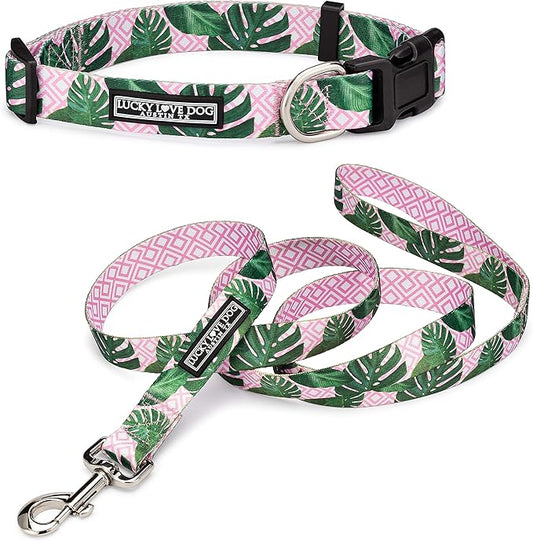 Lucky Love Dog, Tropical Matching Dog Collar & Leash Set, Soft & Comfy, Vivid Pink Color Collar and Leash for Female Male Dogs - (X-Small, Laguna Combo)