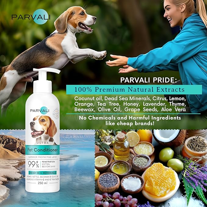Natural Dead Sea Classic Dog Conditioner (250 ml, 8.45 fl oz). Softens and Penetrates Hair, All Breeds Anti-Dryness Protection. Fortified with Honey, Nettle, Beeswax, and Olive Oil. Enjoy!