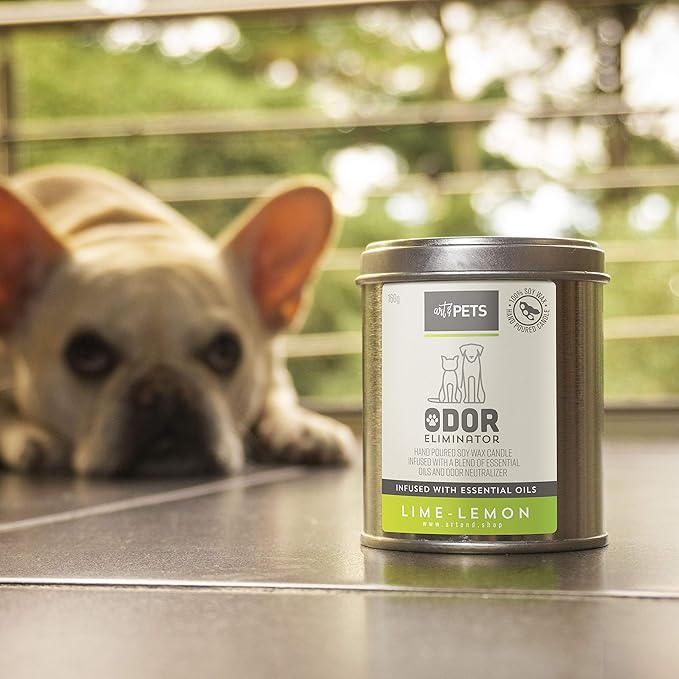 Art & Pets Pet Odor Eliminator Candle Appx 72 Hrs Burning Time | Natural Scented Soy Wax Candle | Dog Smell Eliminator Candle | Cat and Dog Odor Eliminator Candle | Pet Candle (Lime Lemon)
