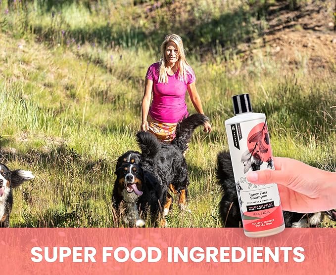 Holistic Natural Derived Goji Berry & Jujube Pet Shampoo: Veterinarian Recommended - Energy & Wellness for Your Dog, Cat and Horse Coat - Made in USA - 16 oz