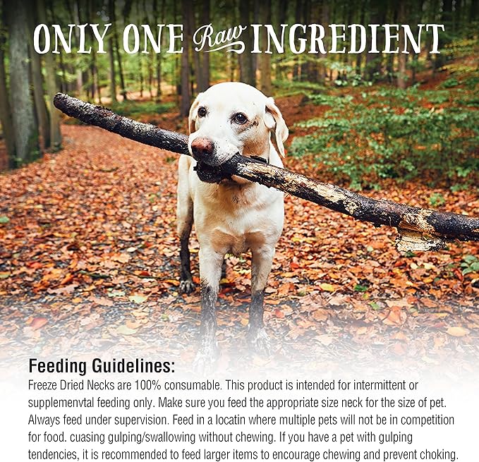 Northwest Naturals Raw Rewards Freeze-Dried Turkey Neck Treats for Dogs and Cats - Whole Neck - Healthy, 1 Ingredient, Human Grade Pet Food, All Natural - 6 Oz