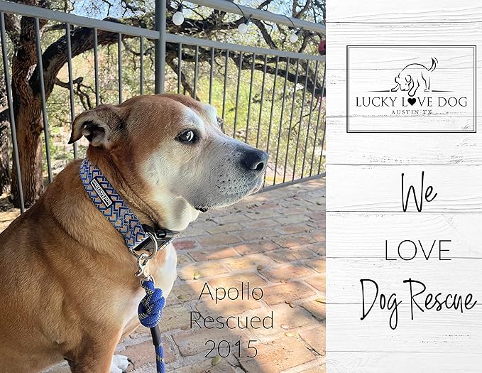 Lucky Love Dog Wide Dog Collar - Adjustable, Durable, Soft Webbing, & Comfortable 1.5 inch Wide Collar for Dogs Male and Female - in Murphy Pattern with Strong Buckle, Large Size