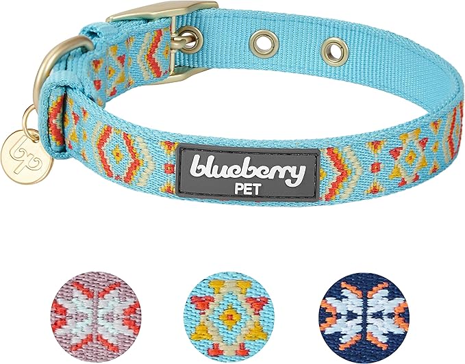 Blueberry Pet 3 Patterns Southwestern Magical Tribal Print Celeste Blue Adjustable Dog Collar with Metal Buckle, Neck 13-16.5", for Medium Breed