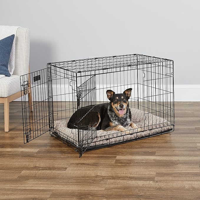 MidWest Homes for Pets Newly Enhanced Single & Double Door iCrate Dog Crate, Includes Leak-Proof Pan, Floor Protecting Feet, Divider Panel & New Patented Features