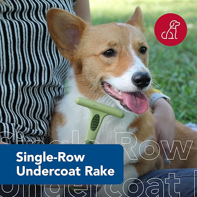 Coastal Pet Safari Single Row Undercoat Rake - Gentle Dematting and Deshedding Tool for Dogs, Pet Grooming Comb