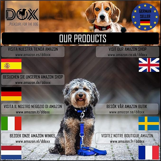 DDOXX Reflective Nylon Dog Collar, S (Purple) - Adjustable, Strong and Comfortable Collar for Dogs with Quick Release Buckle, Durable and Visible for Safety - Dog Leash Ideal for Training and Walks