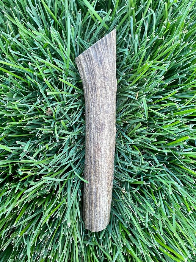 Good Trouble Pets Premium Elk Antlers for Large Dogs - All-Natural, Shed Antler Chews for Dental Health & Calming - Durable Dog Bones for Aggressive Chewers - Cruelty-Free, North American Sourced
