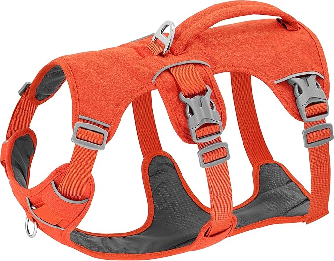 Beirui Escape Proof Dog Harness,Soft Padded Dog Vest No Pull with Lift Handle,Durable Reflective Waterproof Full Body Pet Harness for Small Medium Dogs Walking Training(Orange,Chest 18-32")