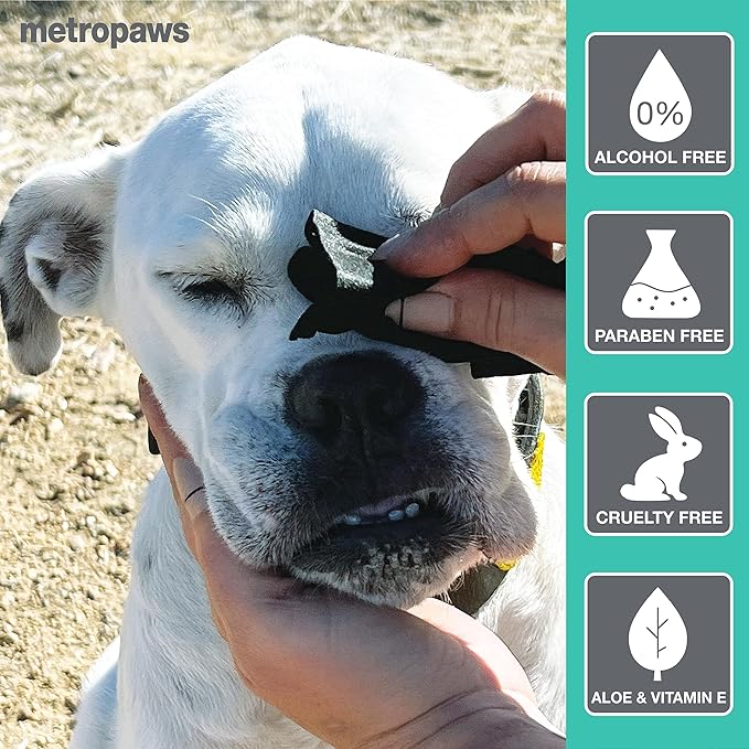 MetroPaws Peppermint Scented Charcoal Dog Wipes, 100 Extra Large & Thick Cleaning Wipes Ideal for Cats and Dogs, for Paws, Butt, Ears and Eyes