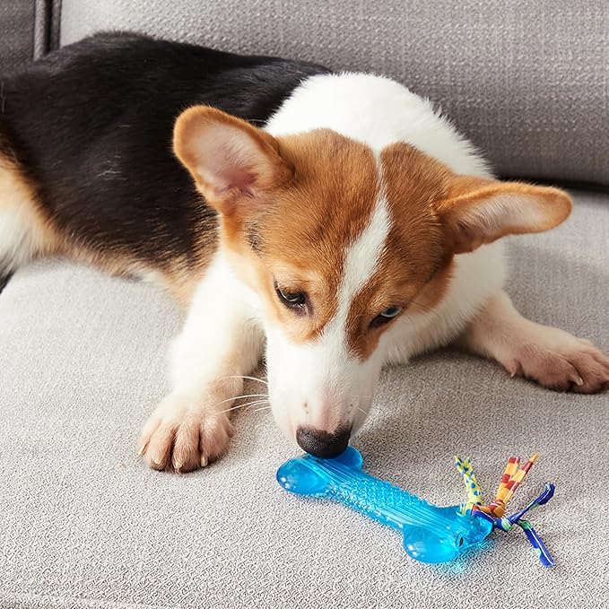 Petstages Orka Mini Bone Royal Blue Dog Chew Toy