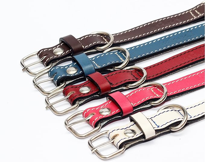 Premium Leather Collars with Stainless Steel Buckles (9"-12", White)