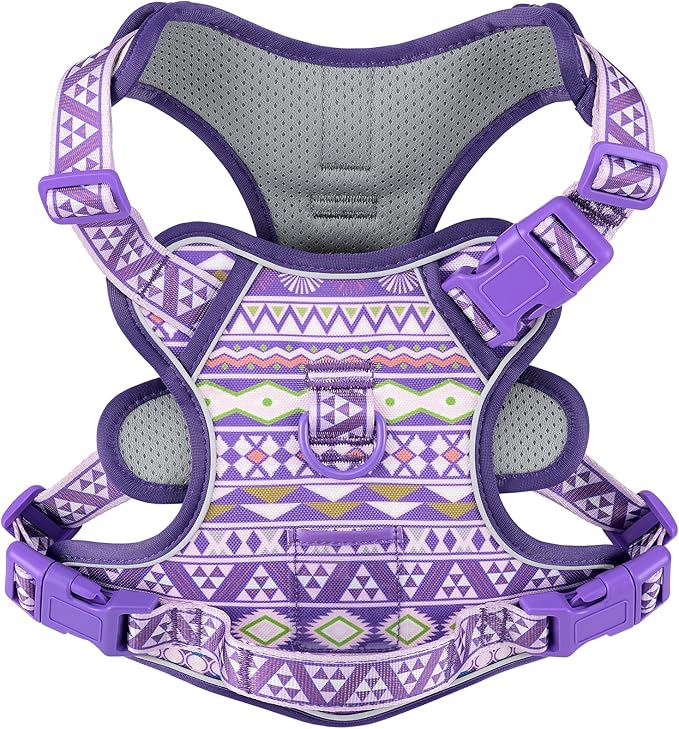 Dog Harness for X-Small Dog Breed, Light Pet Vest Harness with 2 Leash Clips and 3 Buckles, Easy to Wear, Adjustable Reflective Soft Padded, Boston Terrier, Beagle, Poodles, XS