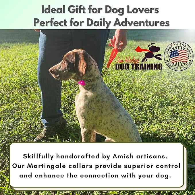 Martingale Collar for Dogs, Biothane, Stainless Steel Hardware, No Pull, Made in The USA, Professional Grade, XS, Pink