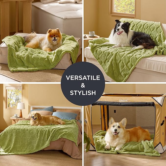 Bedsure Dog Blanket for Medium Dogs Washable - Soft Fluffy Puppy Blanket with Premium 300GSM Coral Fleece, Cozy Calming Cat Blankets for Indoor Cats, Fuzzy Pet Blanket for Kitten Doggy, Green
