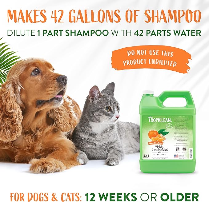 TropiClean High Concentrate Dog Shampoo, Professional Grade & Size for Groomers, 42:1 Dilution, Puppy Safe, USA Made, Sweet Mandarin Scent, 1 Gallon