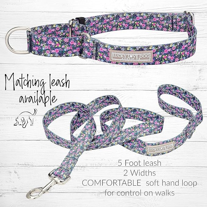 Lucky Love Dog Martingale Collar and Leash Set, Premium No Slip Collar for Small Dogs, Flower Martingale Collar for Girl Dogs, Great for Whippets, Greyhounds, and More (Primrose, Small - Combo)
