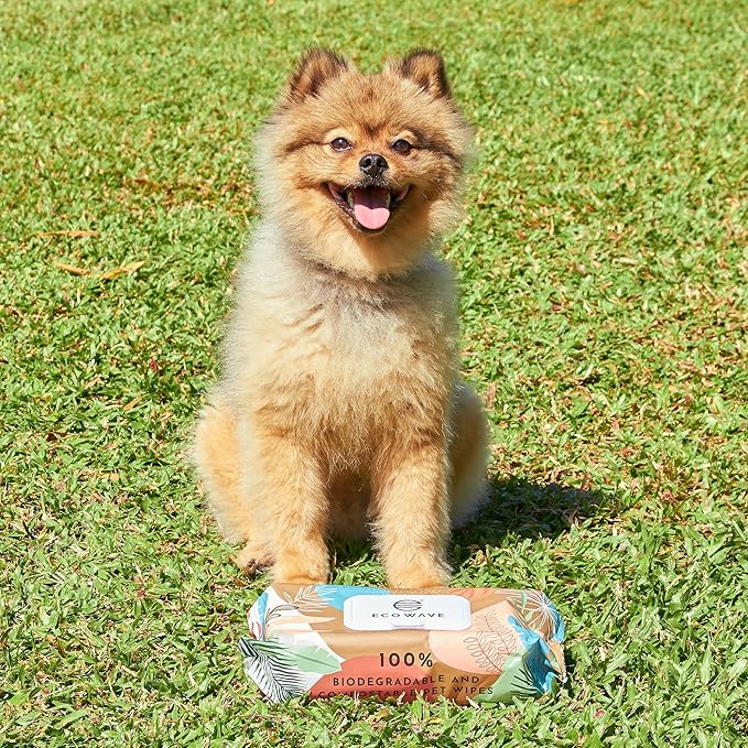 Eco Wave Hypoallergenic Plant-Based Pet Wipes, Dog and Cat Grooming Wipes for Face, Ears, Body, Butt, and Paws, Fragrance Free, Compostable, 100 Count