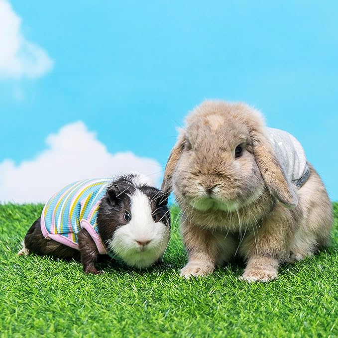Guinea Pig Clothes - 2 Pack Cute Small Animal Vest Clothes for Rat Rabbit Chinchilla Ferret Kitten Chihuahua - Soft Breathable T-Shirt Pet Costume