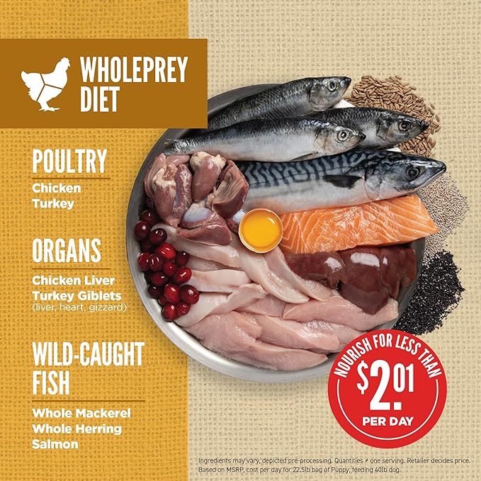 ORIJEN Amazing Grains Puppy Dry Dog Food, High Protein Dog Food for Puppies, Fresh or Raw Ingredients, 4lb