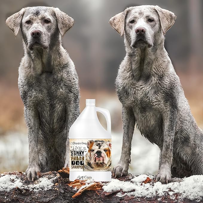 The Blissful Dog Stinky Filthy Dog Shampoo, 1-Gallon
