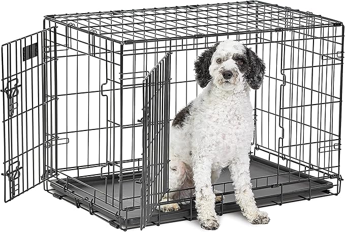 MidWest Homes for Pets Medium Dog Crate | Midwest Life Stages 30' Double Door Folding Metal Dog Breed Crate | Divider Panel,Floor Protecting Feet & Dog Pan | 30.6L x 19.3W x 21.4H Inches