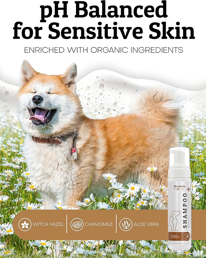 Pets Waterless No-Rinse Pet Shampoo | Soothing Hypoallergenic Gentle | time-Saving Stress-Free foaming Cleanser (1 8 fl oz Bottle Unscented)