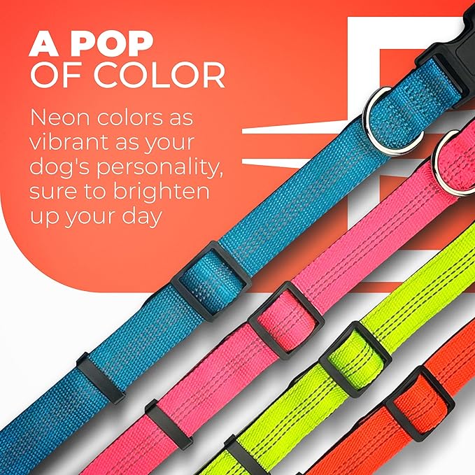 BLAZIN 'Color Me Happy!' Reflective Dog Collar for Day and Night - Adjustable Soft Neoprene Padded Dog Collar in 4 Vibrant Colors - Keeps Dogs Safe and Stylish - for Every Day Use (Medium, Yellow)
