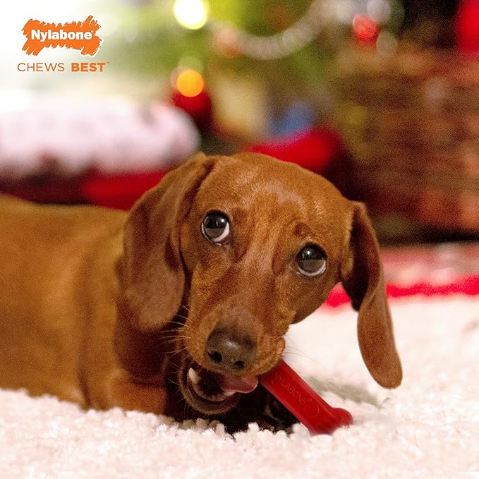 Nylabone Teething Puppy Chew Starter Kit, Two Puppy Chew Toys and Puppy Chew Treat, Puppy Supplies, Bacon & Chicken Flavor, Small/Regular (3 Count)