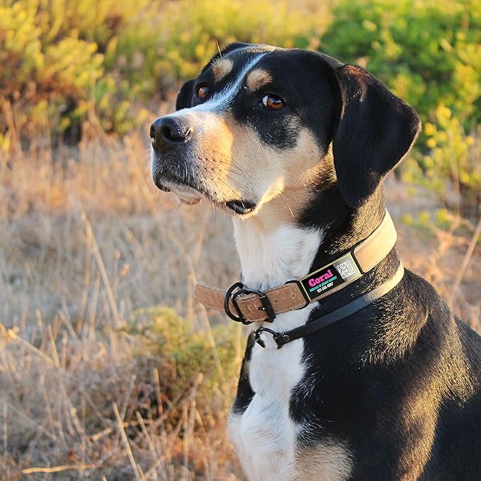 QR Code Dog Tag,Dog Tags Personalized for Pets, Custom Dog Name ID Tags Personalized Dog and Cat Tags -Free Online&Scan QR Receive Instant Location Alert Email