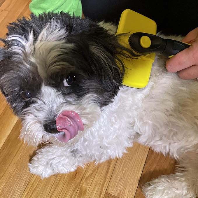 BarxBuddy Self Cleaning Slicker Brush for Dogs & Cats (Smooth & Gentle Bristles) Perfect Deshedding Tool For Long & Short Haired Dogs, Cats, Rabbits, and Other Pets Yellow