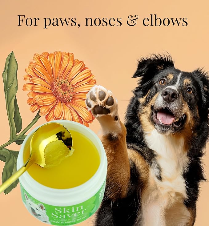 Paw & Nose Balm - All Natural & Vegan Skin Saver for Dogs & Cats - Paw Cream & Lotion for Protecting Dry Paws, Noses & Elbows (2 oz / 60 g Jar)
